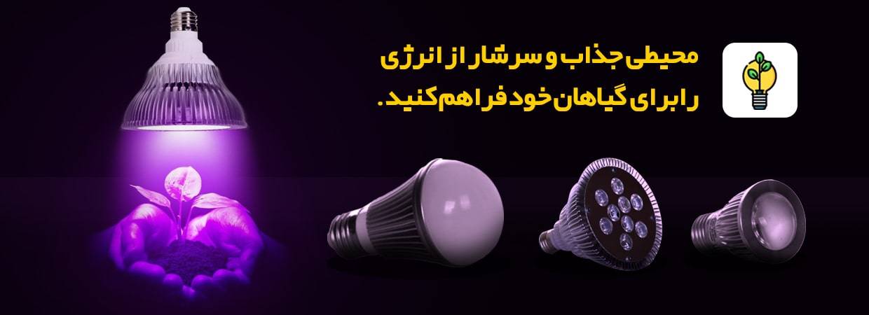 لامپ رشد گیاه