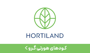 کود هورتی گرو