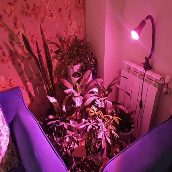 لامپ رشد گیاه سرپیچی 5 وات