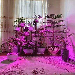 عکس نصب شده از لامپ رشد گیاه 18 وات لنزی با پایه کلیپسی