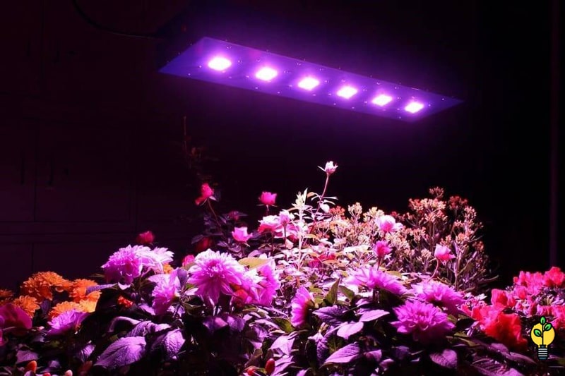 قیمت نور مصنوعی گیاهان