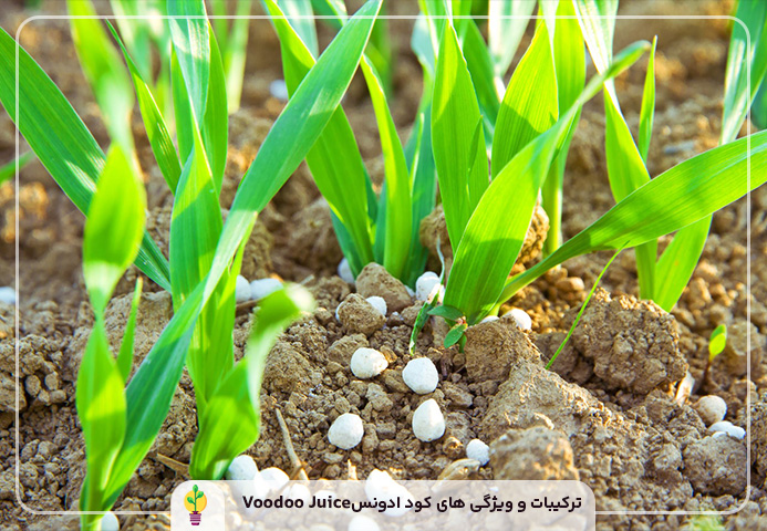 کود ادونس Voodoo Juice 1 سؤالات متداول درباره کود ادونس