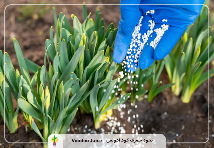 کود ادونس Voodoo Juice 2 سؤالات متداول درباره کود ادونس