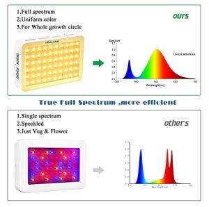 مقایسه نور پروژکتور fc300 marshydro