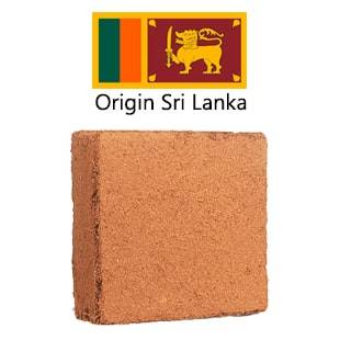 کوکوپیت سریلانکا