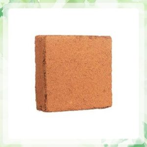 کوکوپیت سریلانکا قالب 5 کیلویی