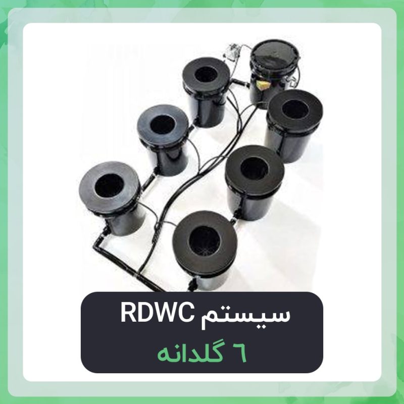 سیستم RDWC هیدروپونیک 6 سطل