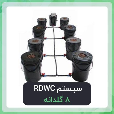 سیستم RDWC هشت گلدانه