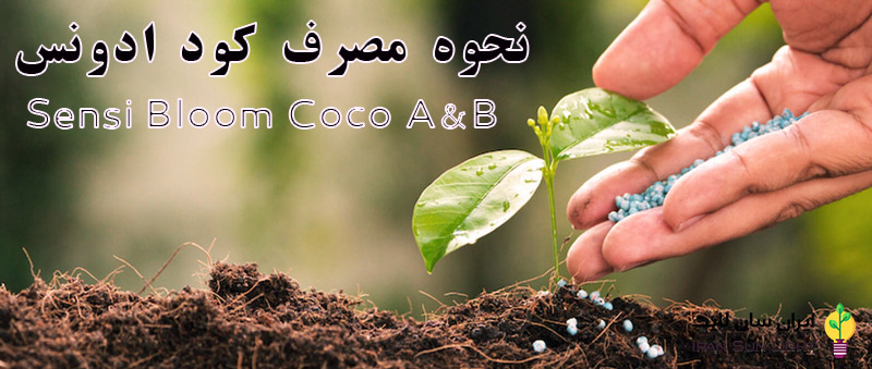 خرید کود ادونس Sensi Bloom Coco A&B 2 کود سنسی بلوم کوکو ادونس