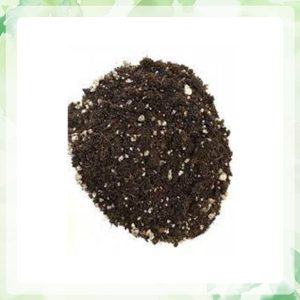 خاک سوپر سویل استریل شده