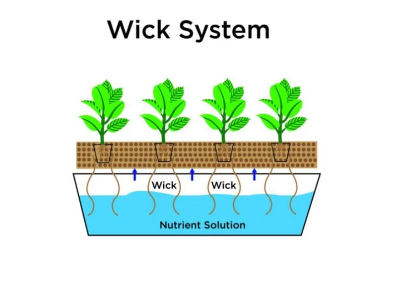 سیستم ویک (Wick)