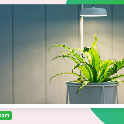 نحوه استفاده از لامپ رشد گیاه