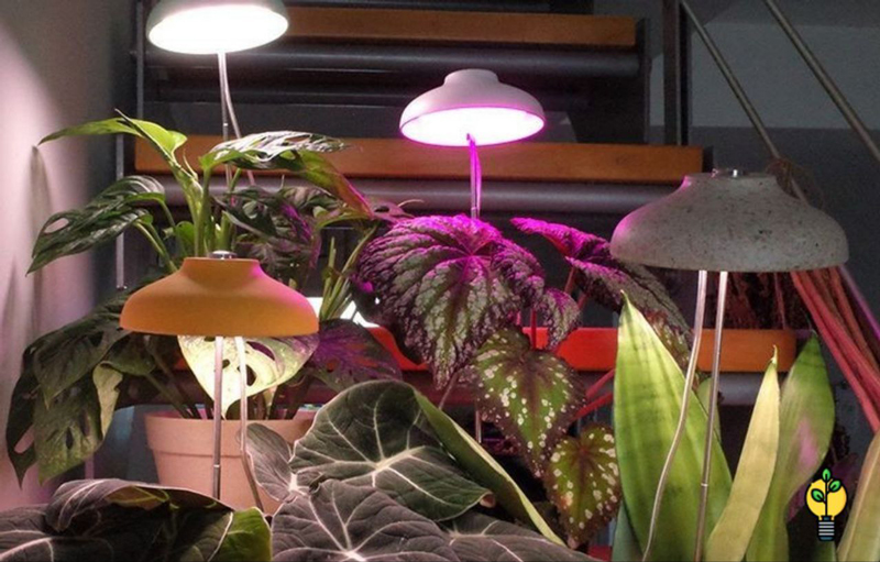 مرکز فروش لامپ رشد گیاه در کرج