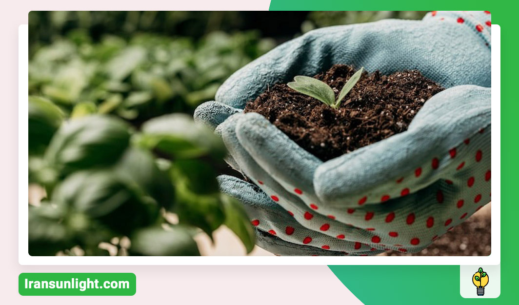هیومیک اسید برای درختان میوه