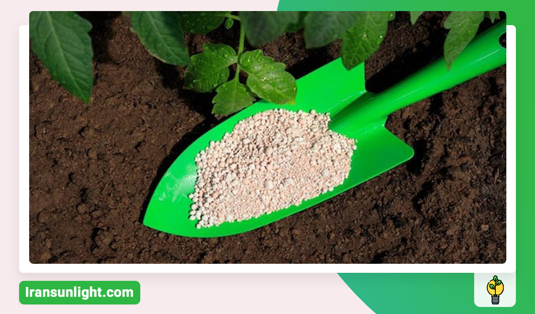 کود مناسب برای درخت گیلاس