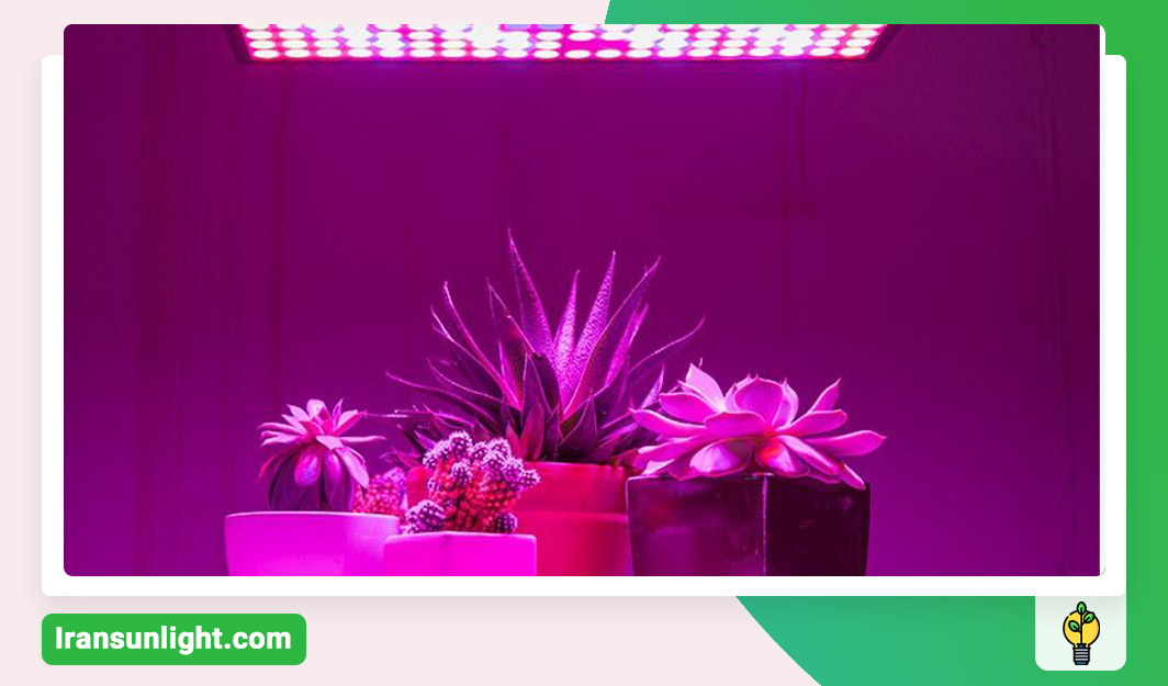 نکات خرید لامپ رشد گیاه دست دوم 1 نکات خرید لامپ رشد گیاه دست دوم