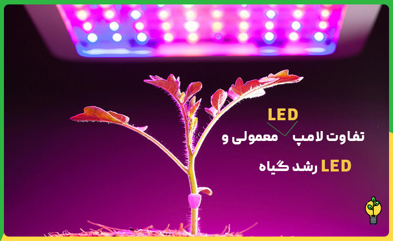 تفاوت لامپ LED رشد گیاه با لامپ LED معمولی