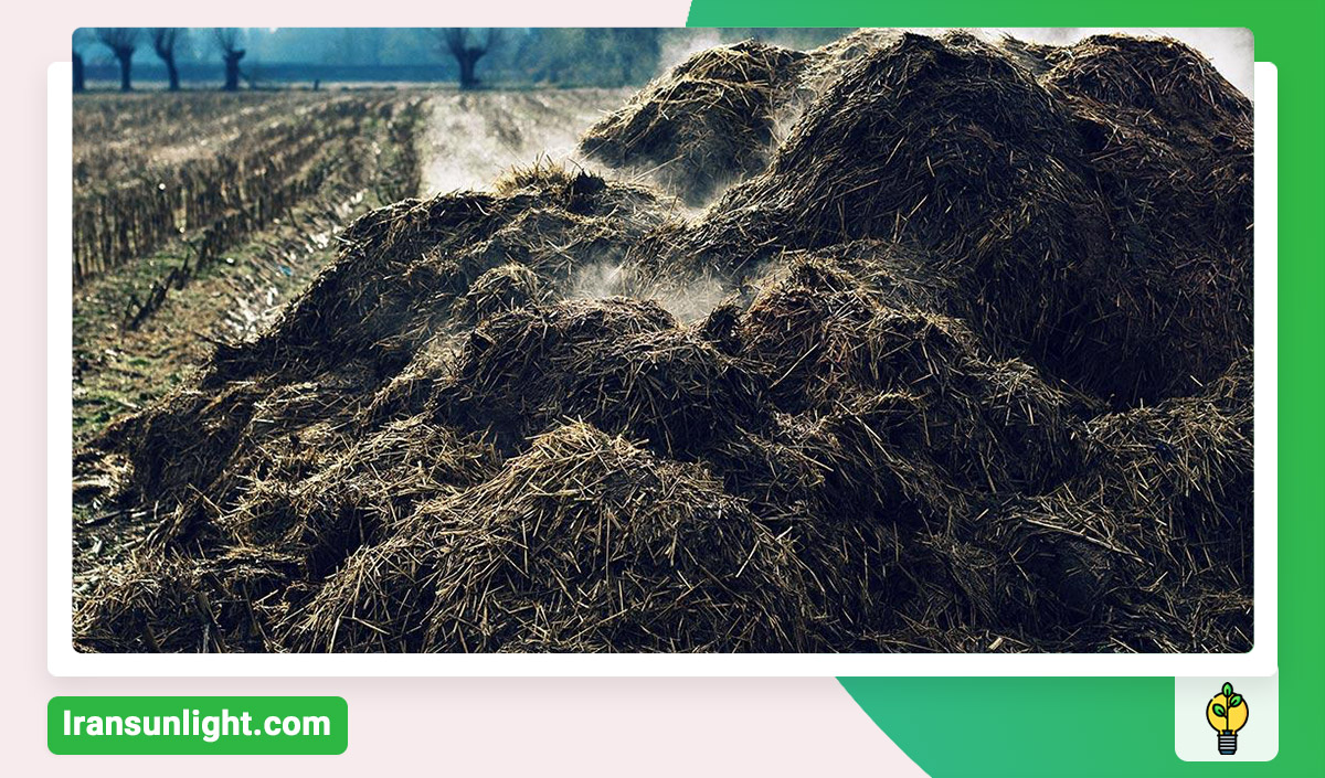 مقدار کود حیوانی برای هر درخت