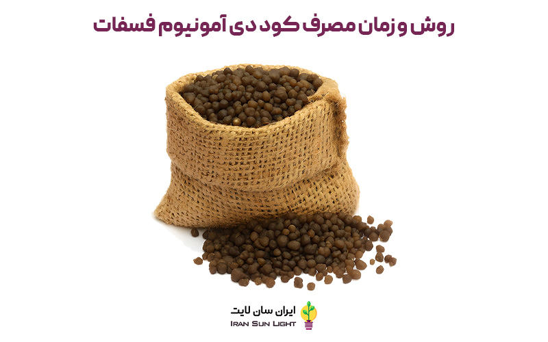 زمان مصرف کود دی آمونیوم فسفات 4 زمان مصرف کود دی آمونیوم فسفات