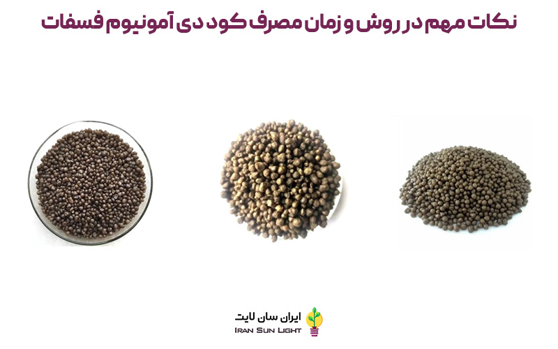 زمان مصرف کود دی آمونیوم فسفات 5 نکات مهم در روش و زمان مصرف کود دی آمونیوم فسفات