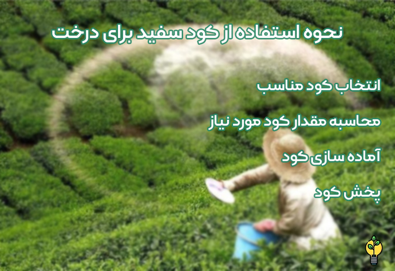 زمان استفاده از کود سفید برای درختان