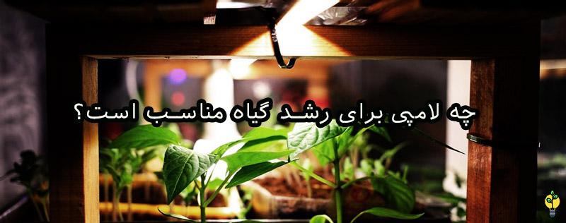 چه لامپی برای رشد گیاه مناسب است