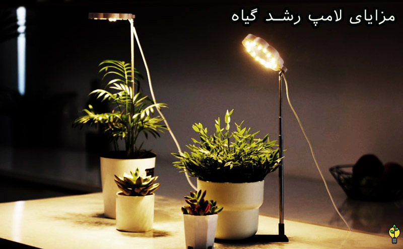 چه لامپی برای رشد گیاه مناسب است