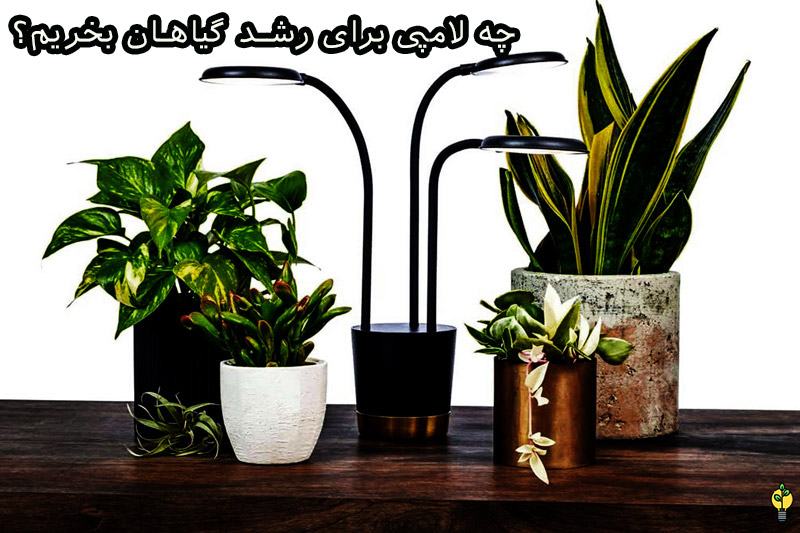 چه لامپی برای رشد گیاه مناسب است