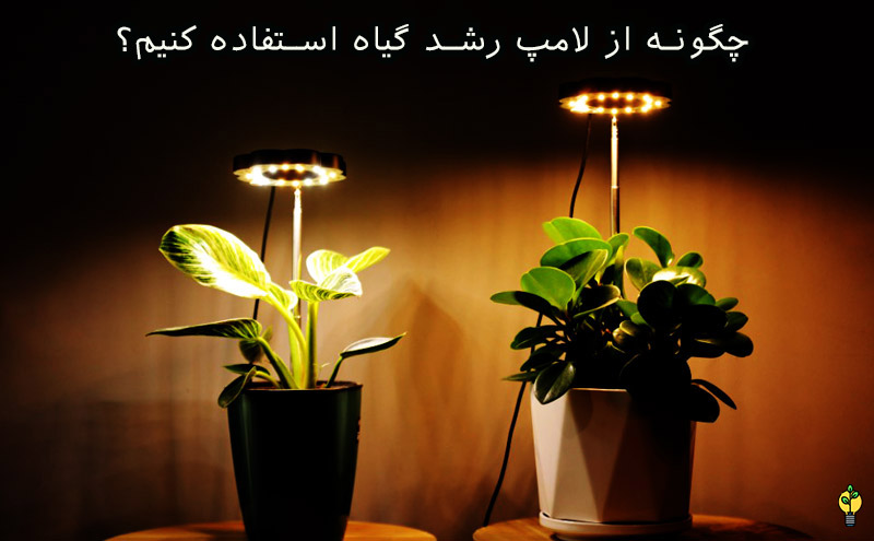 چه لامپی برای رشد گیاه مناسب است
