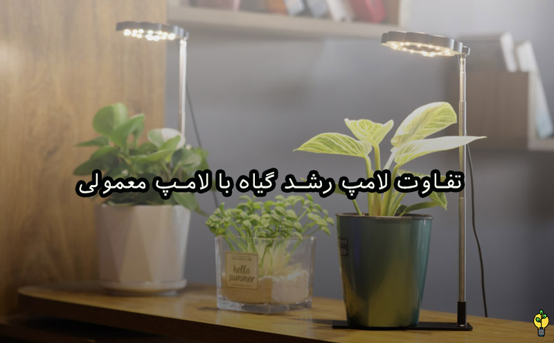چه لامپی برای رشد گیاه مناسب است