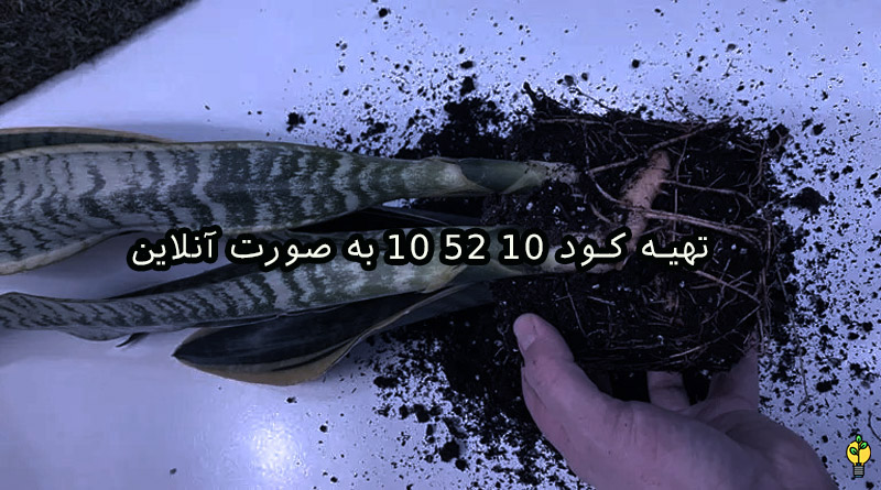 طریقه مصرف کود 10 52 10 برای سانسوریا