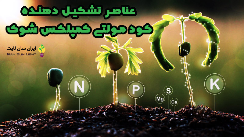 کود مولتی کمپلکس شوک