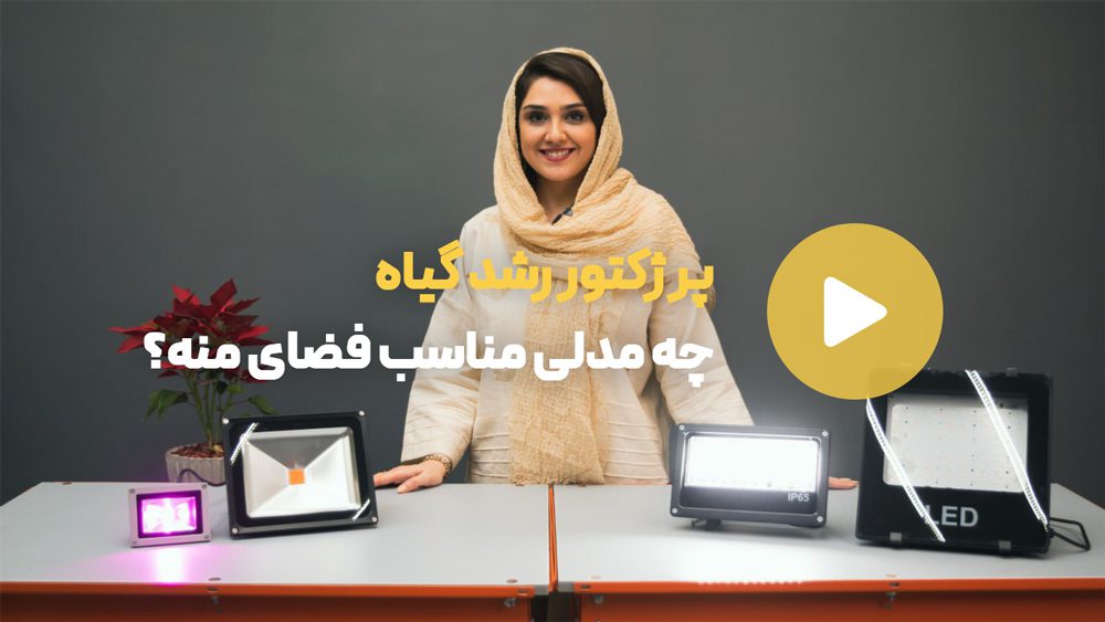 کاور ویدیو