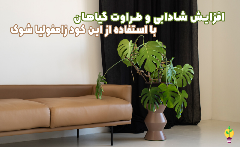 کود زاموفیلیا شوک 1 لیتری