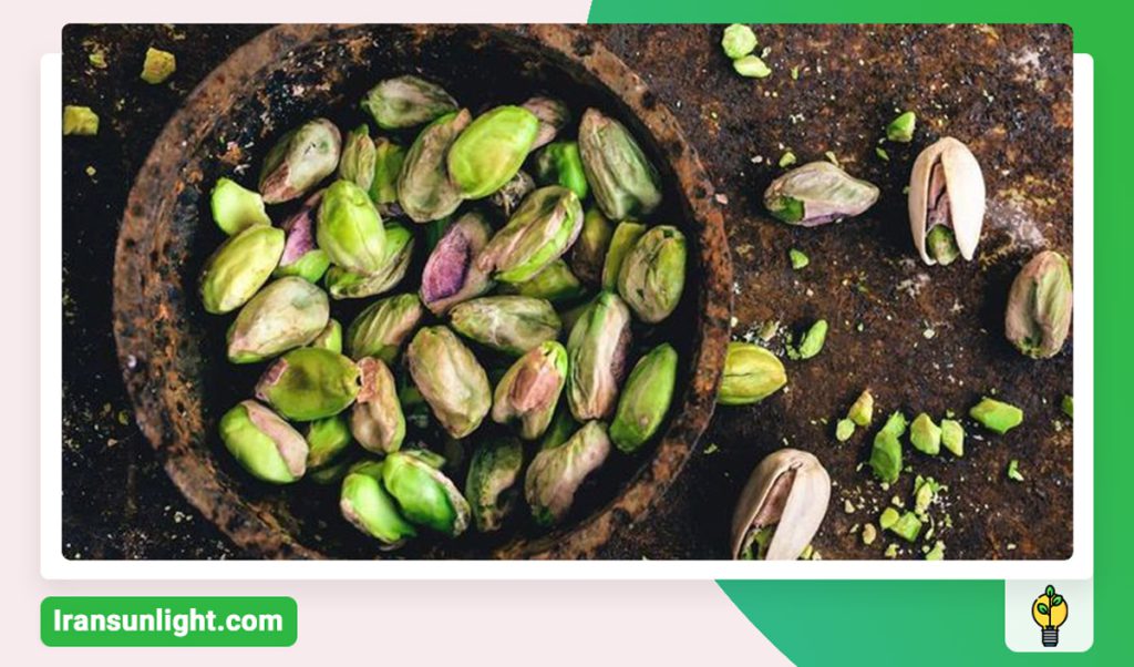 کود شوک برای پسته