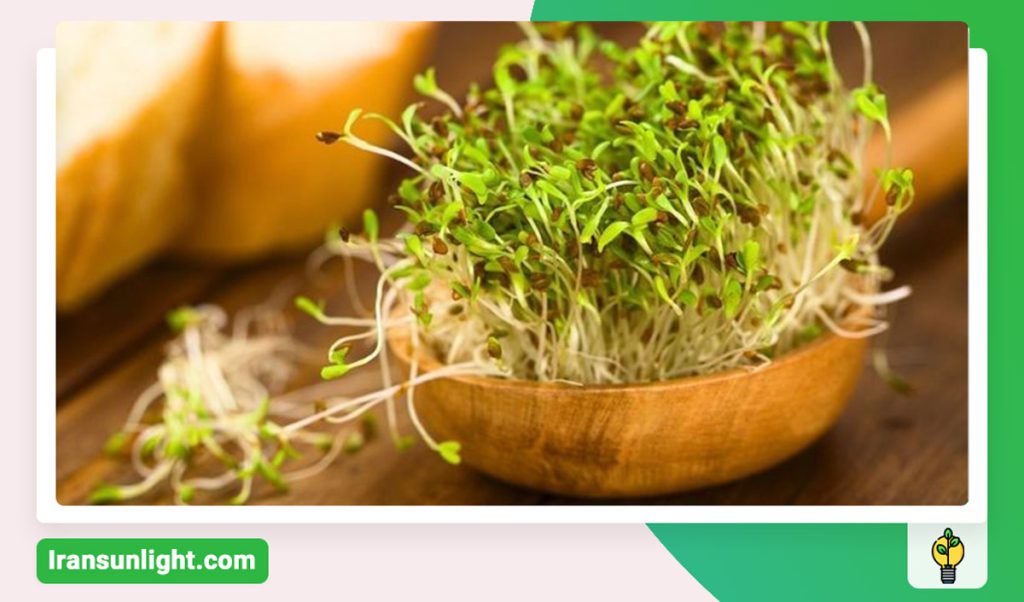 کود شوک برای یونجه