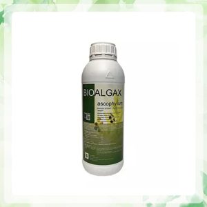 کود جلبک دریایی بیوآلجاکس کیمیتک Bioalgax