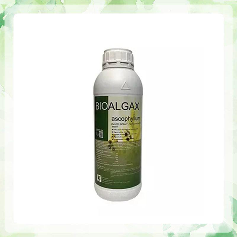 کود جلبک دریایی بیوآلجاکس کیمیتک Bioalgax