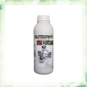 بهترین زمان مصرف کود فسفر 11 کود مایع ارگانیک نوتریفوس Nutriph