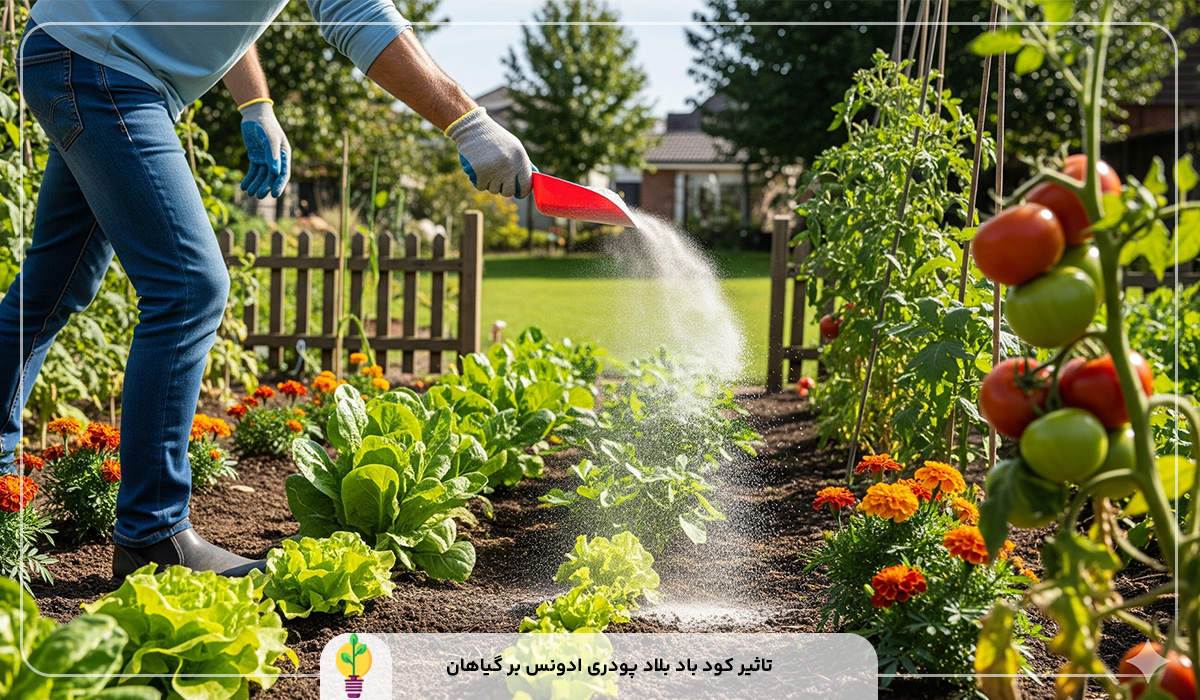 کود باد بلاد پودری ادونس