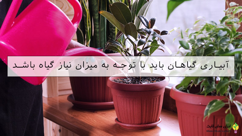 نجات گل در حال خشک شدن 5 نجات گل در حال خشک شدن