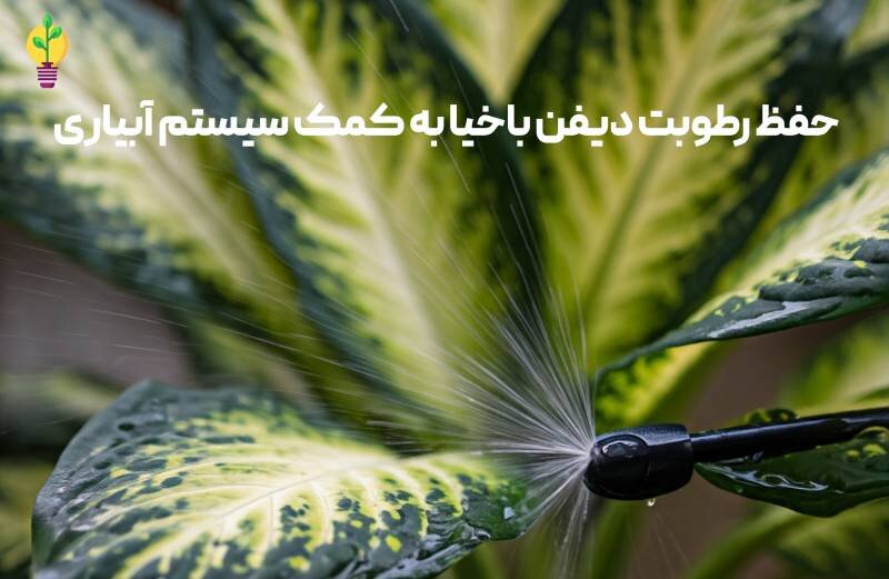 حفظ رطوبت دیفن باخیا 