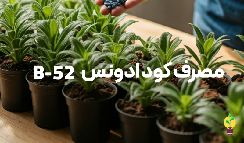 مصرف این کود 