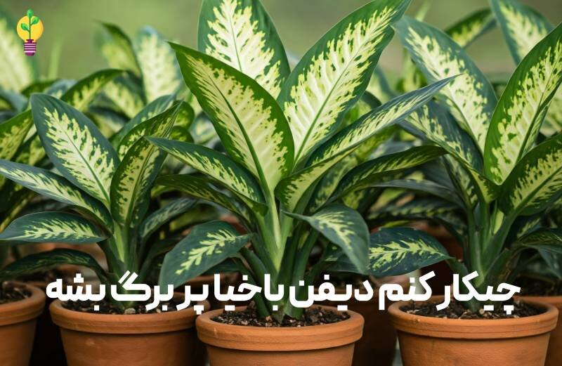 چیکار کنم دیفن باخیا پر برگ بشه، راهکار عملی 