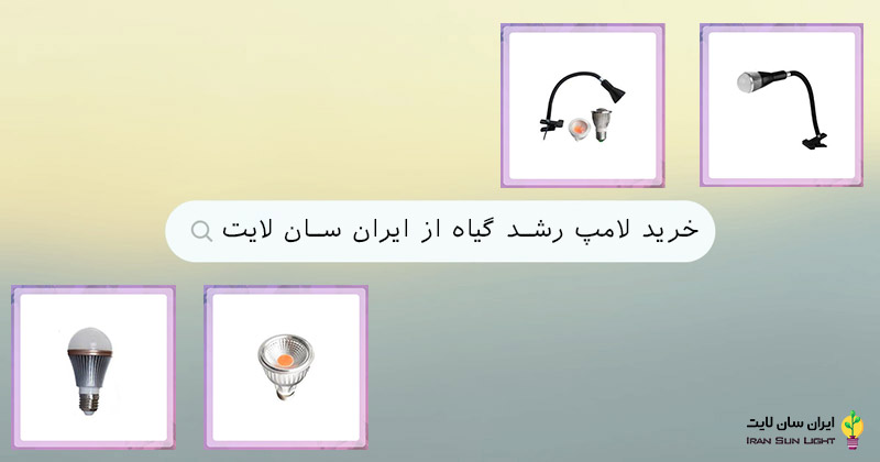 نجات گل در حال خشک شدن 4 نجات گل در حال خشک شدن