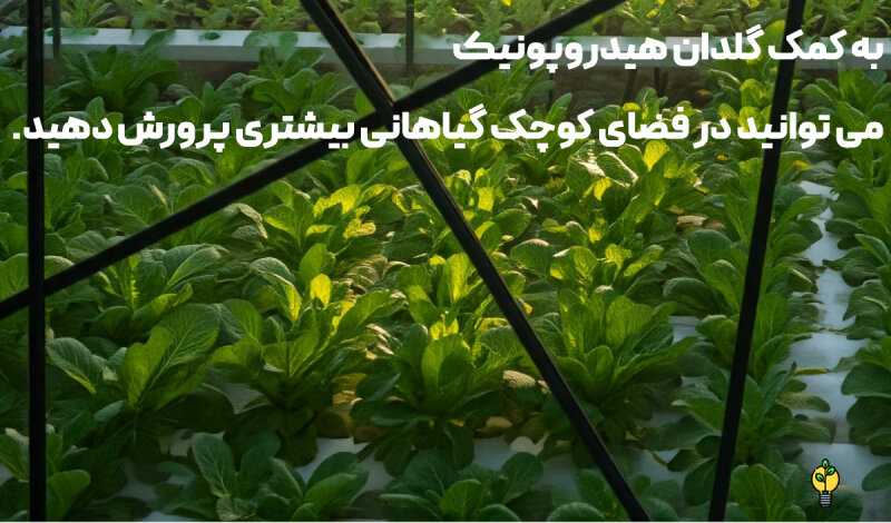پرورش گیاه در فضای کوچک