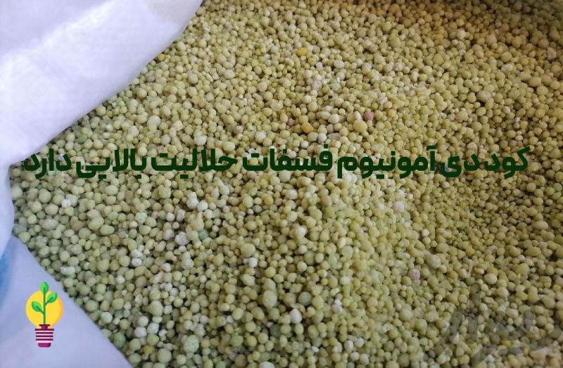 حلالیت بالا از خواص کود دی آمونیوم فسفات