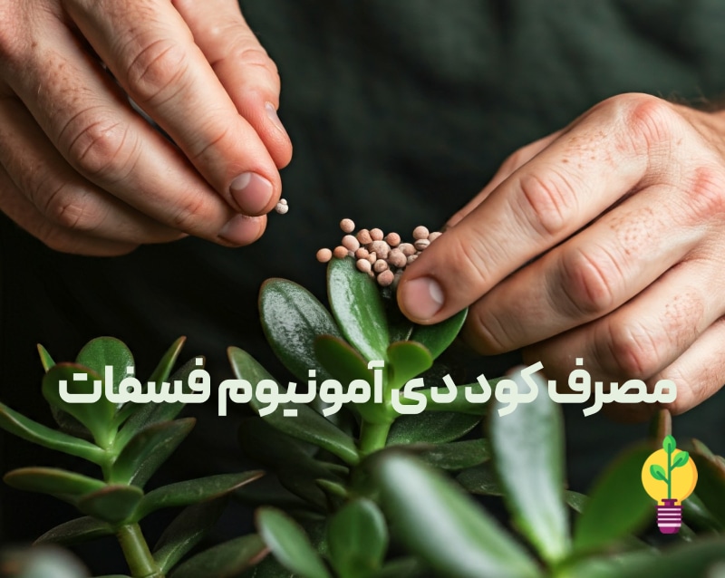 مصرف کود 