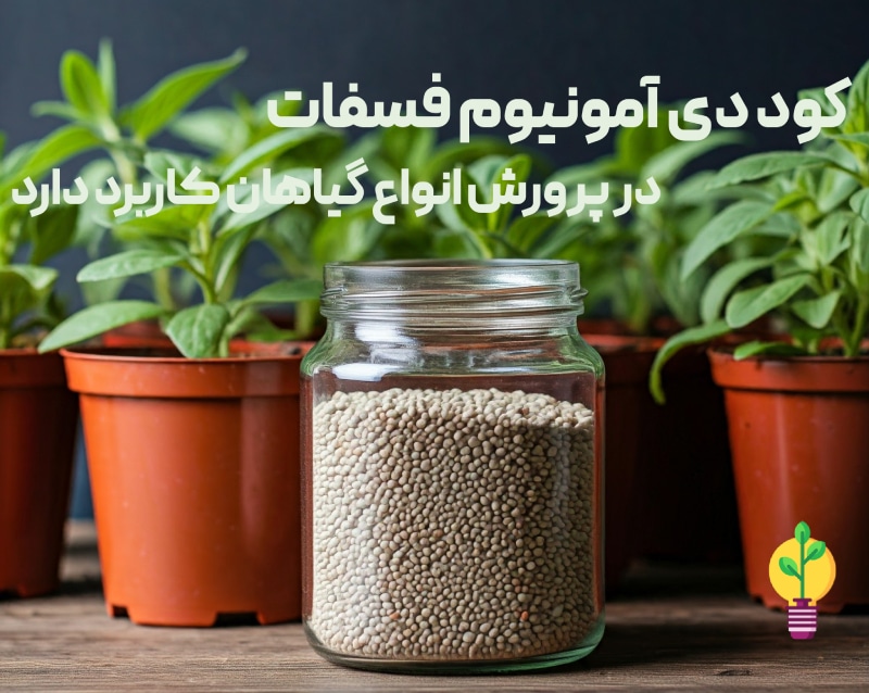 کاربرد این کود