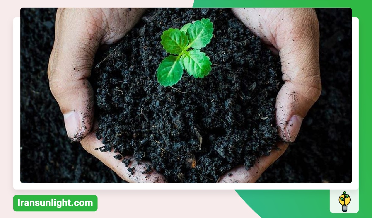 کود هیومیک اسید برای چی خوبه؟